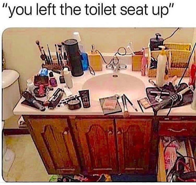 Toilet Seat.jpg