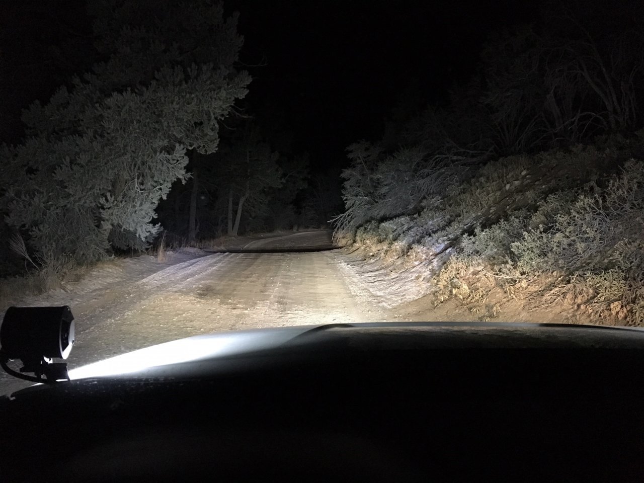 trail.jpg
