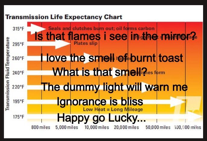trans temp.jpg