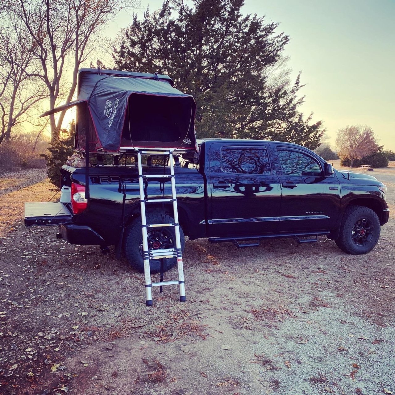 trd.jpg