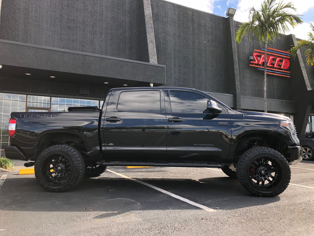 TRDPRO4.jpg