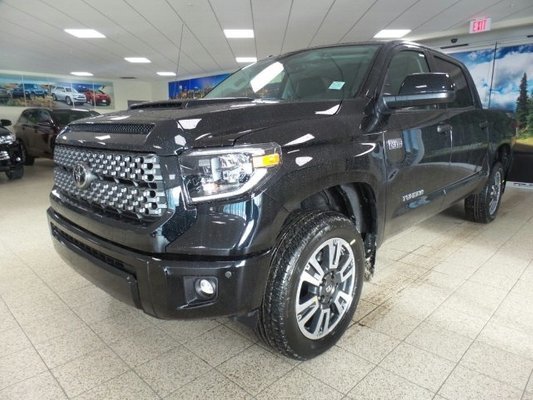 trdsport1.jpg