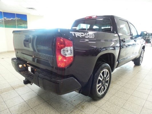 trdsport3.jpg