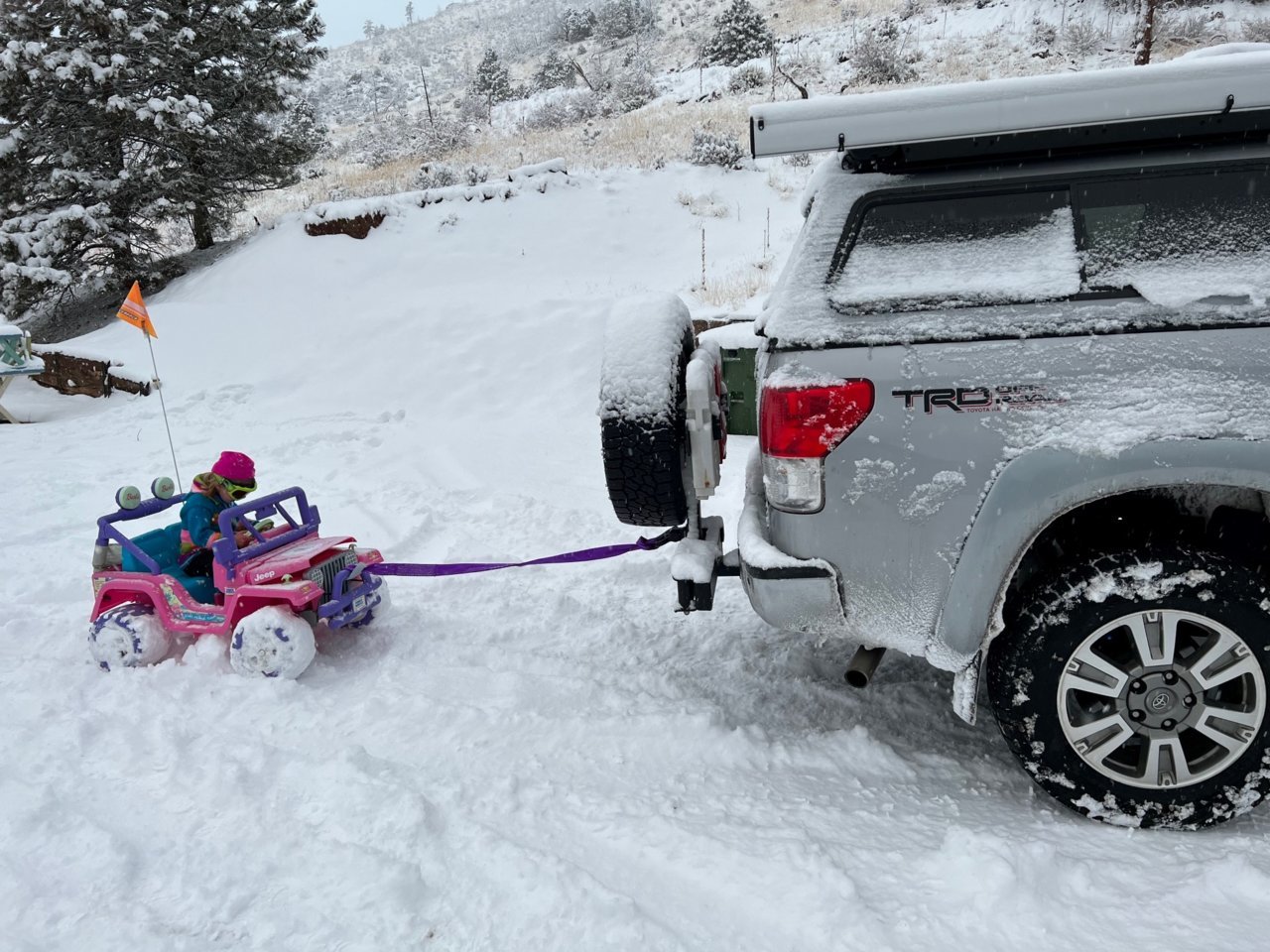 truck bad in snow.jpg