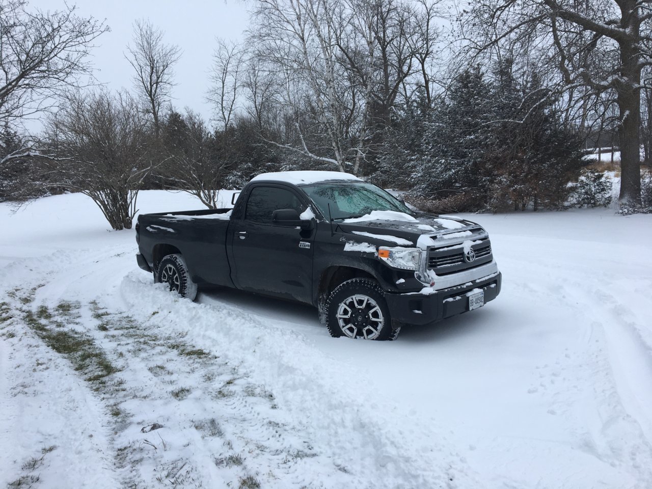 truck.jpg