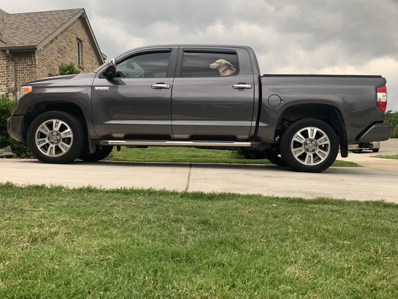 truck.jpg