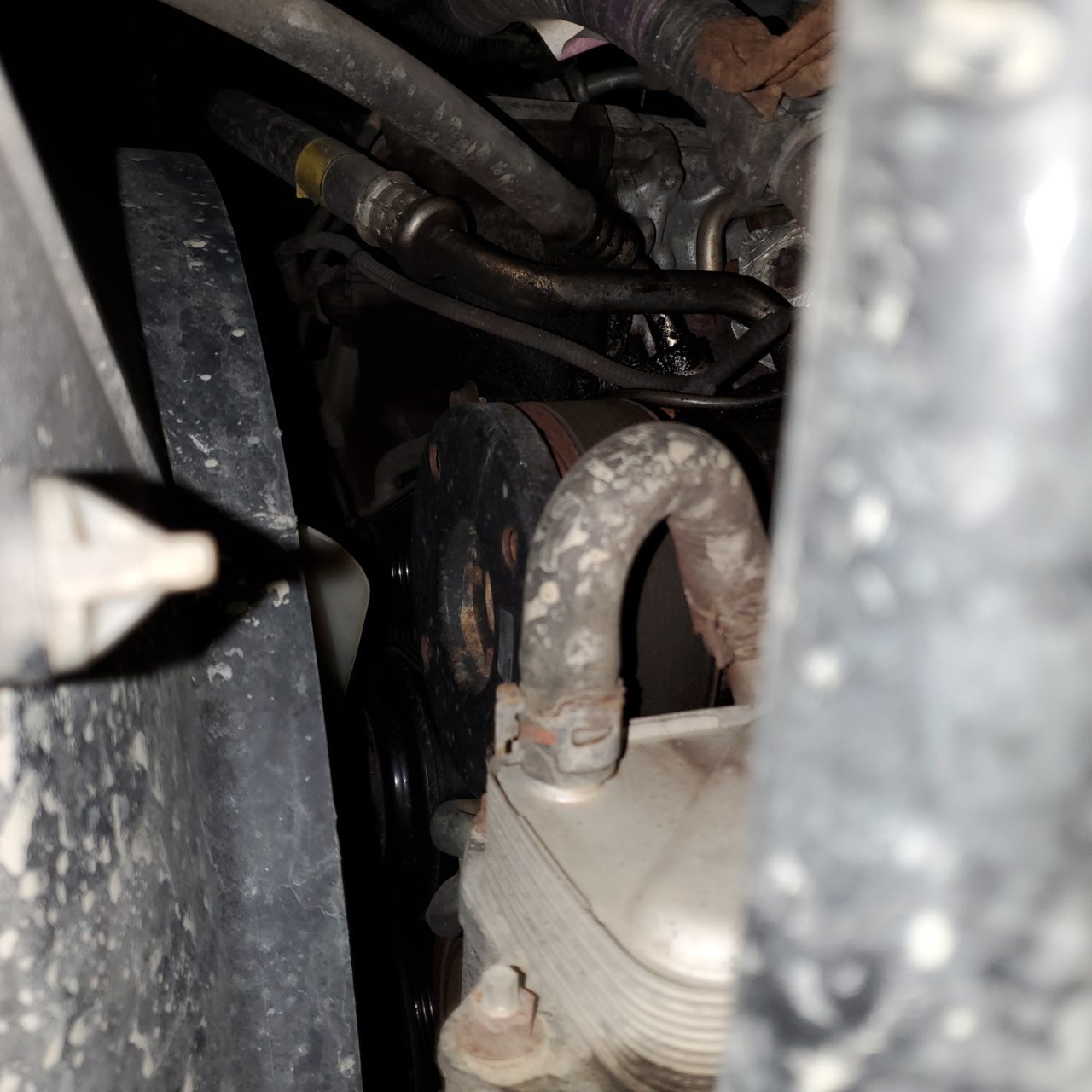 Truck oil leak.jpg