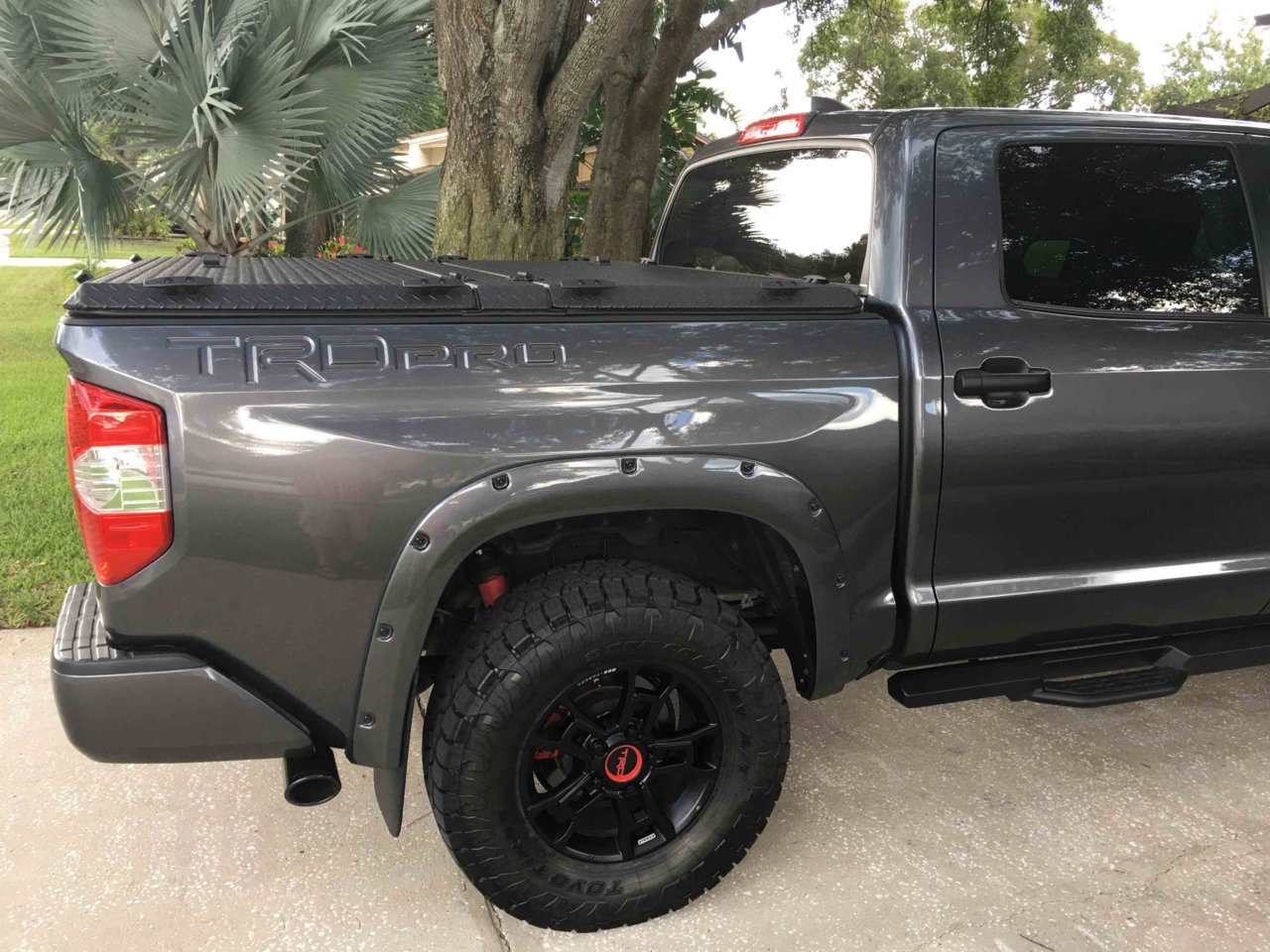 Truck Side Profile Dback2.jpg