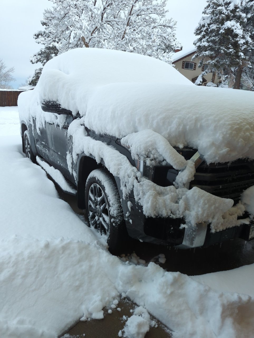 Truck_dec22jpg.jpg