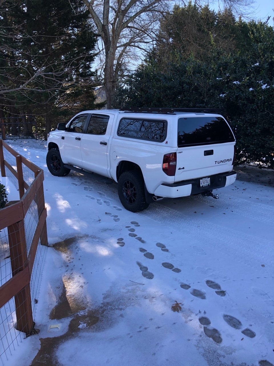 Tundra 011822.jpg