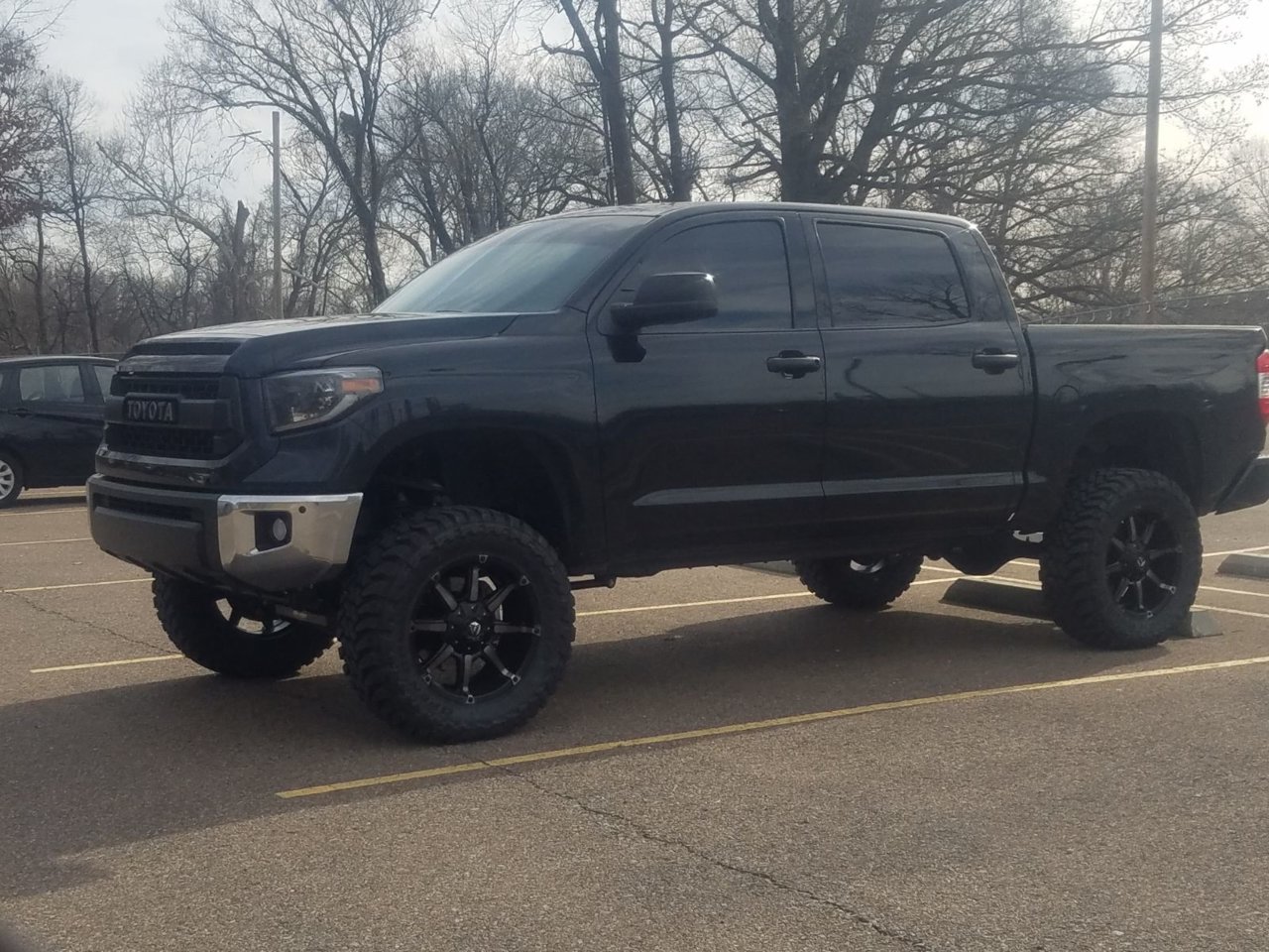 Tundra 1.jpg