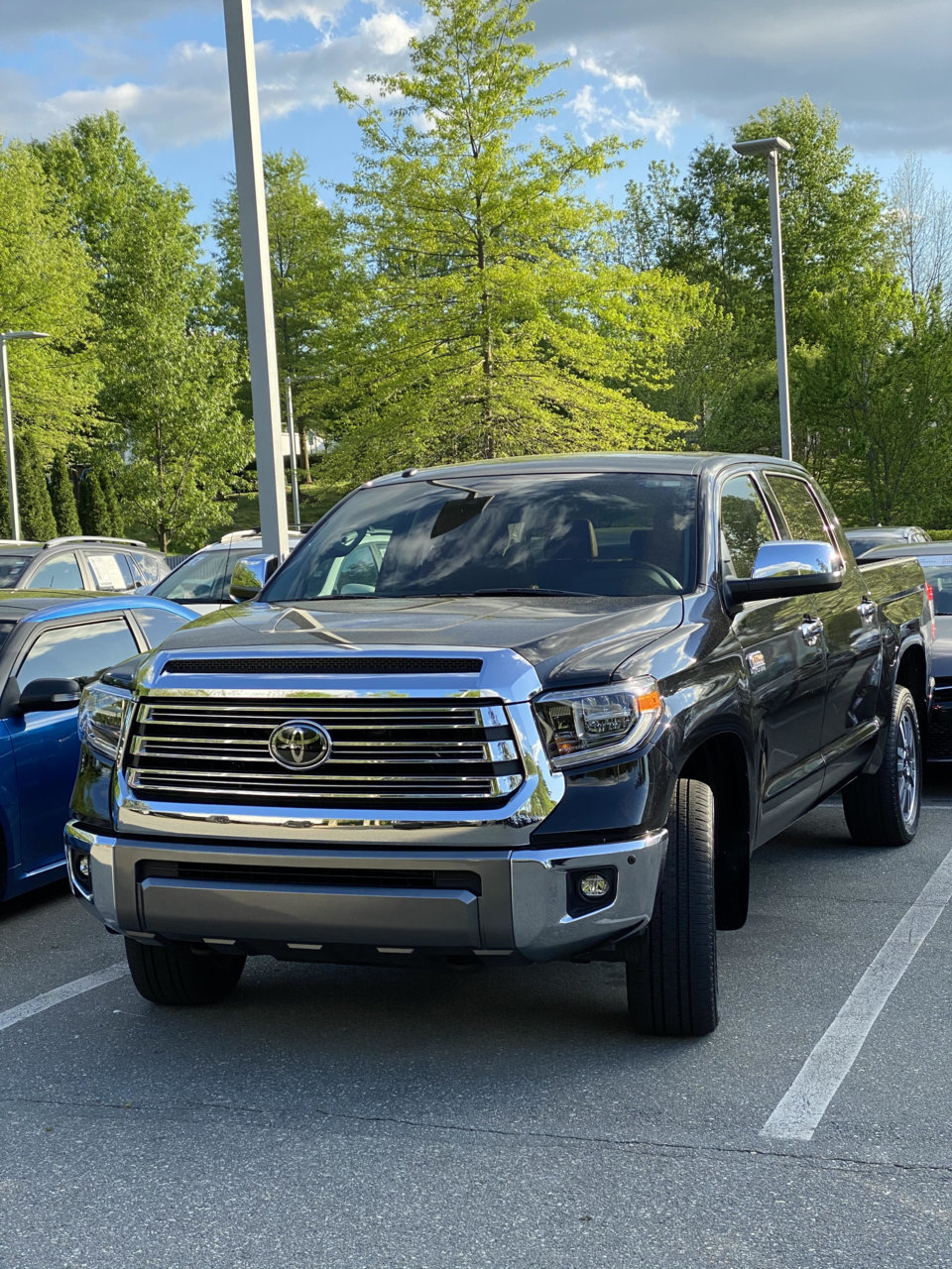 Tundra 1.jpg