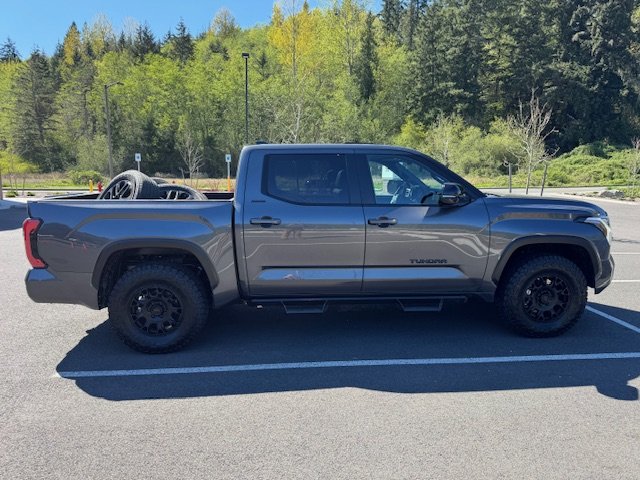 Tundra 3.jpg