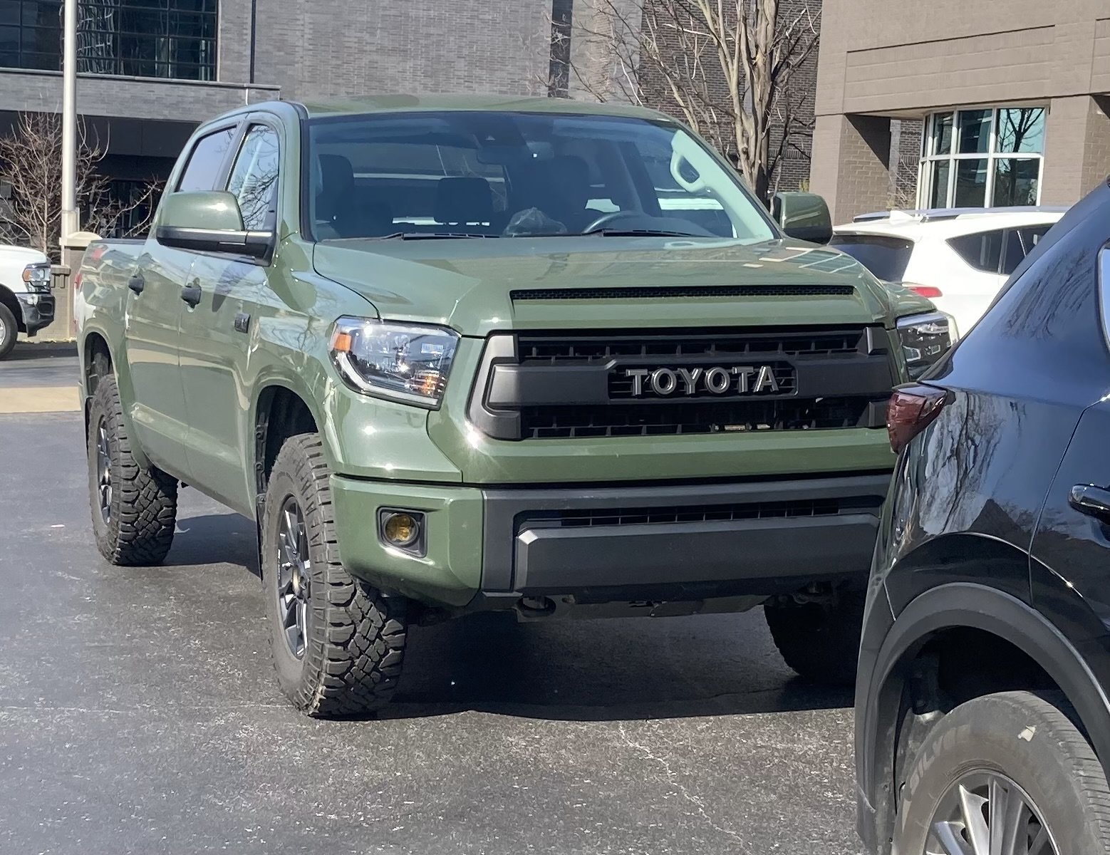 tundra in the city.jpg
