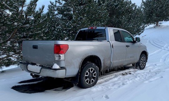 Tundra in the Snow Cropped.jpg