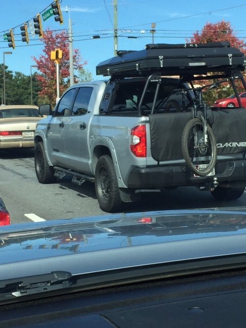 tundra.jpg