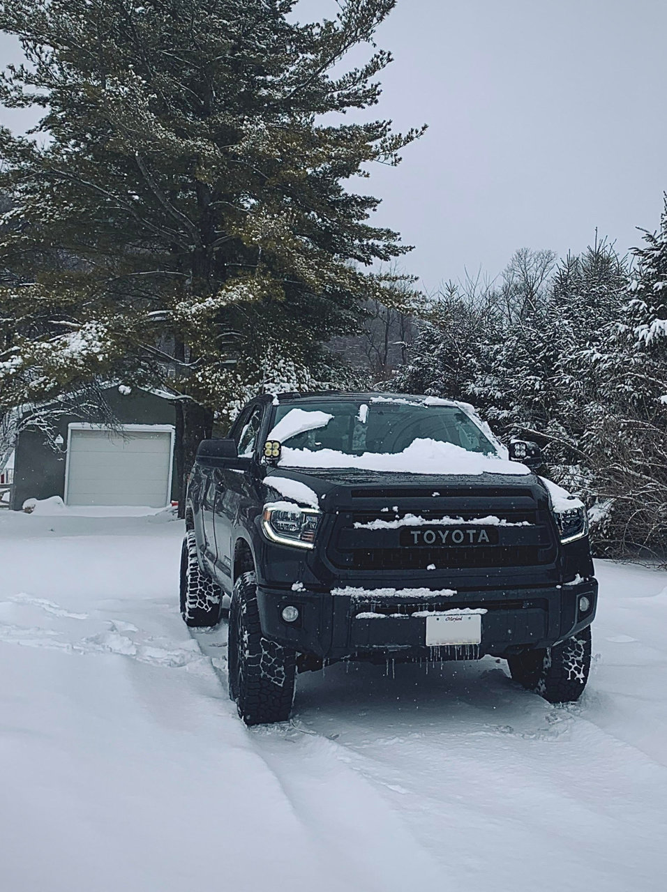 tundra.jpg