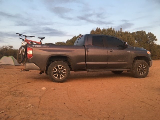 tundra.jpg