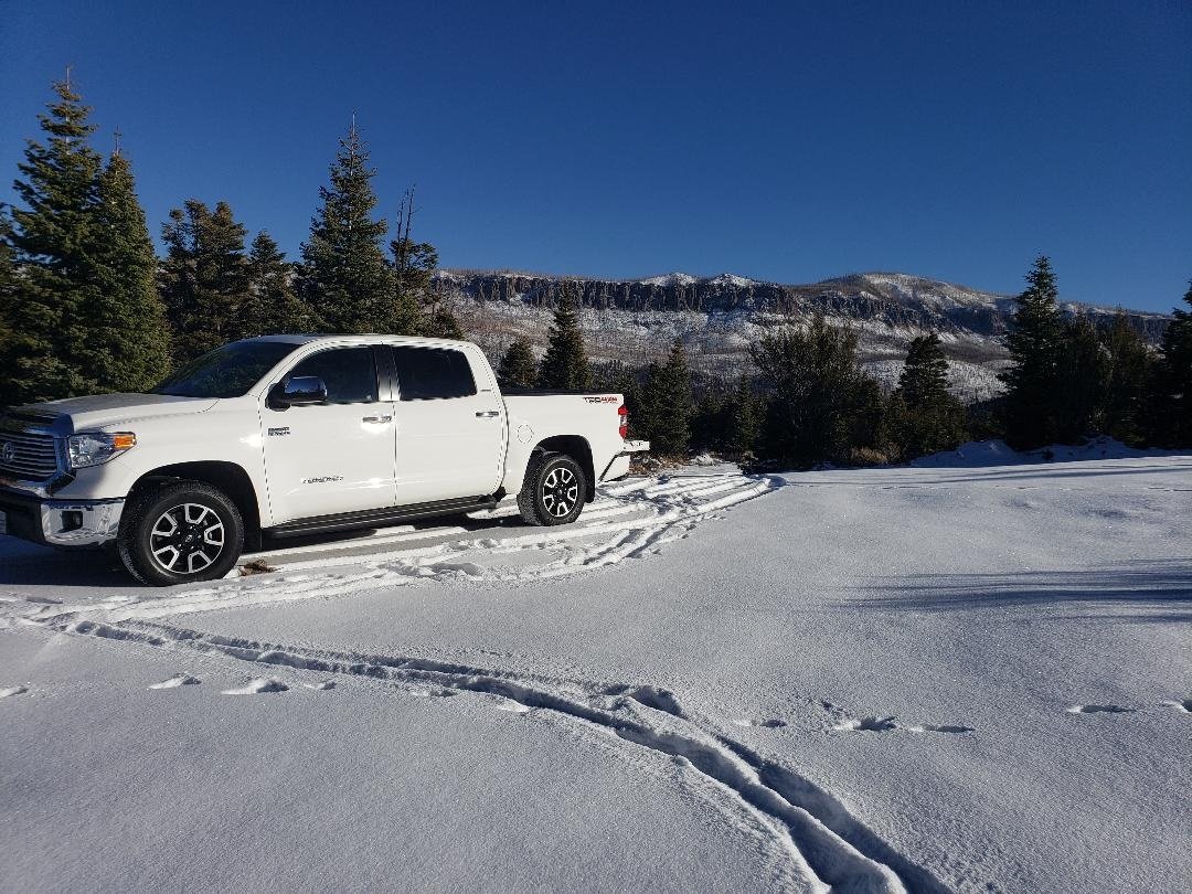 tundra.jpg