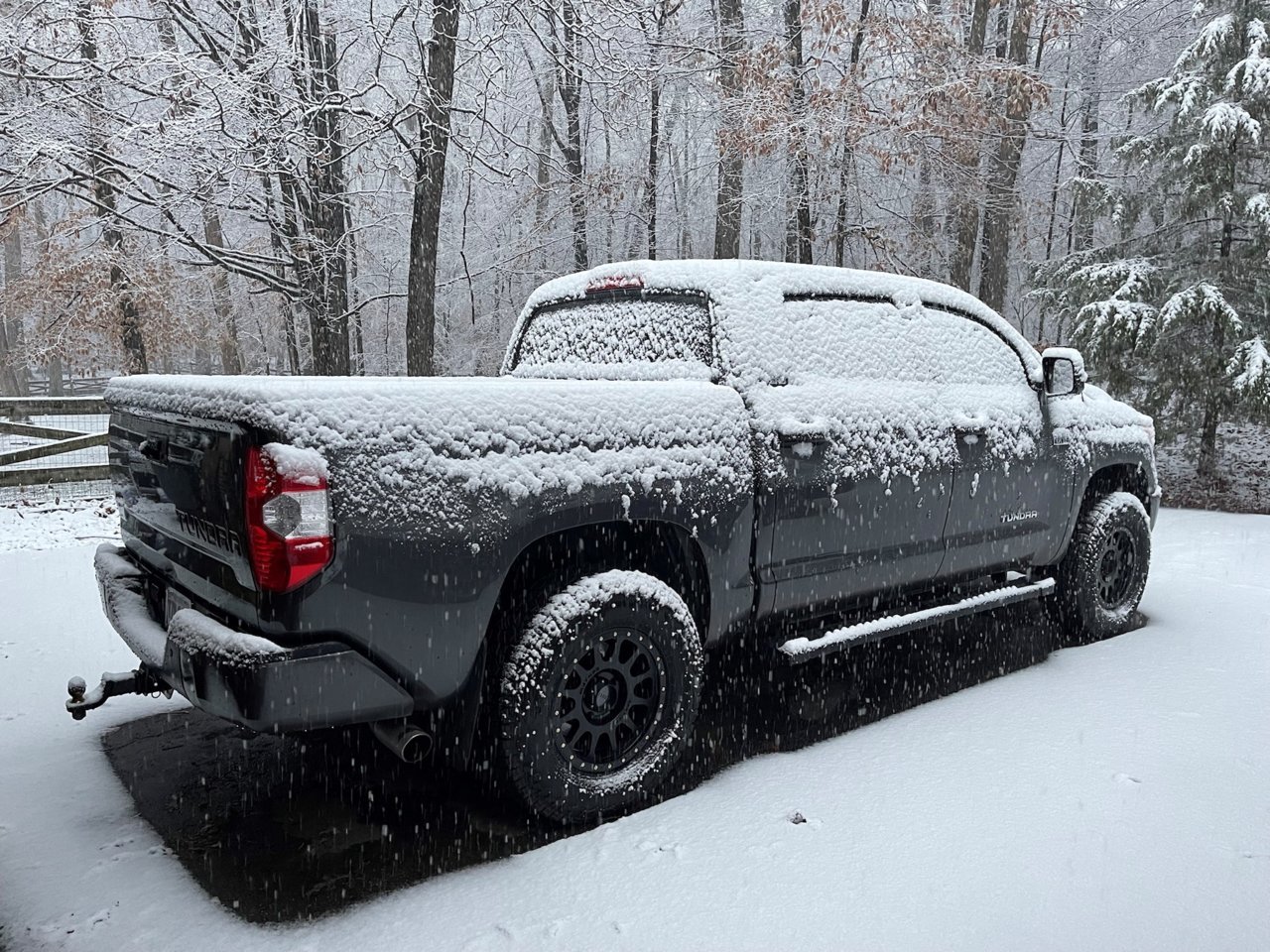 TUNDRA.jpg