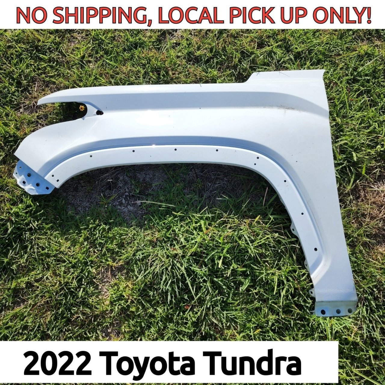 tundra.jpg