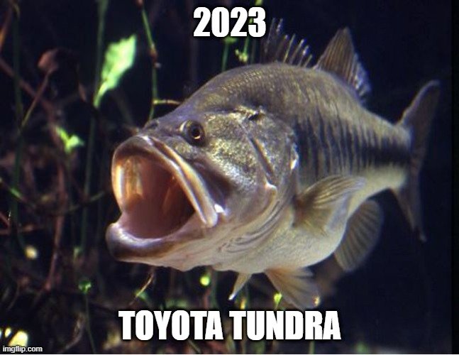 Tundra.jpg