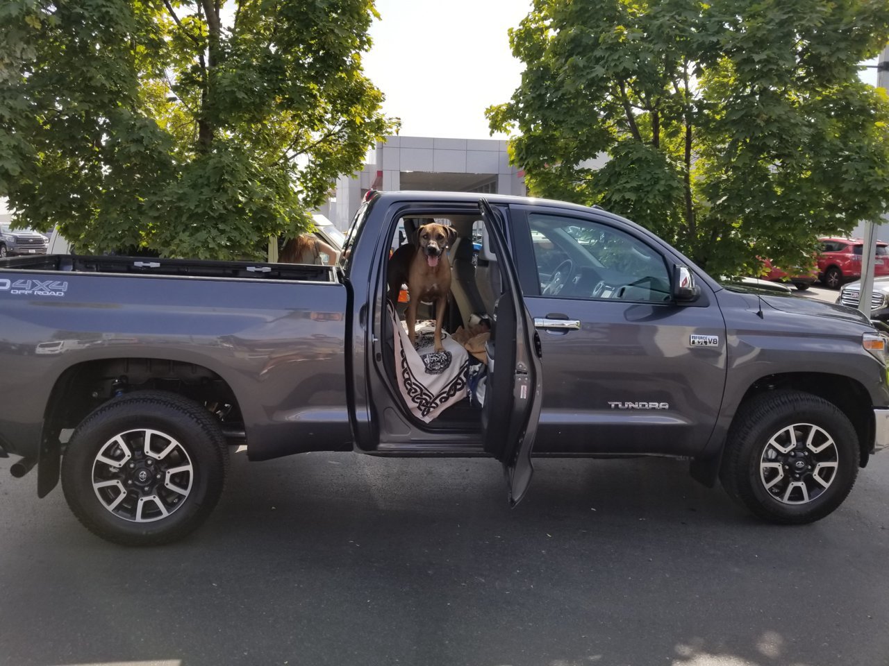 Tundra New at Dealership.jpg