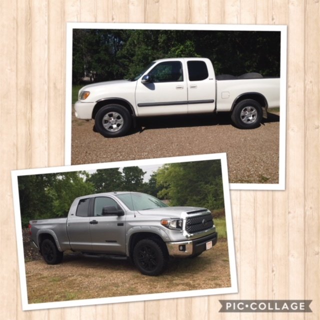 Tundra old and new.jpg