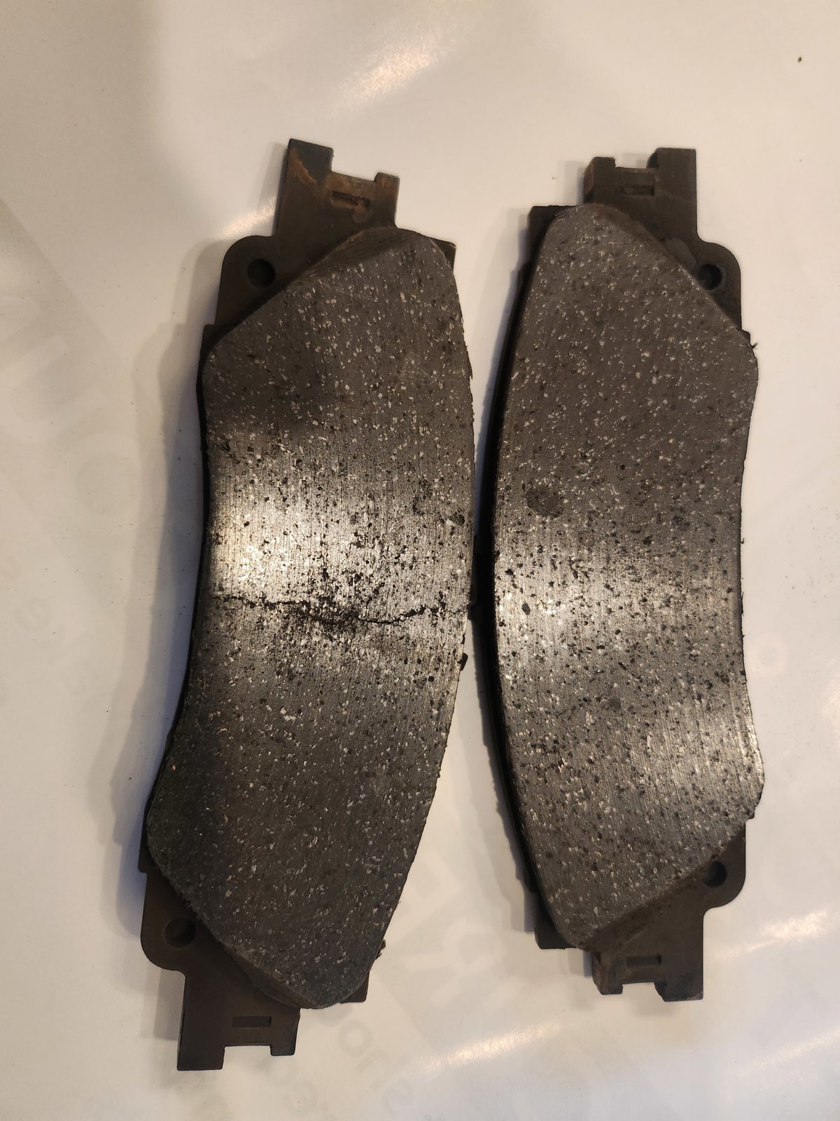 Tundra pads.jpg