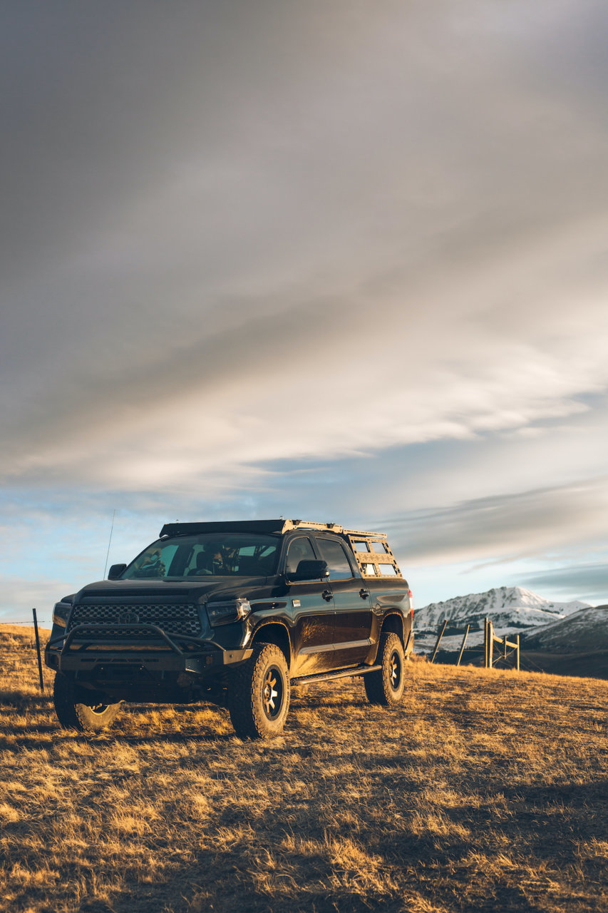 Tundra.random-3.jpg