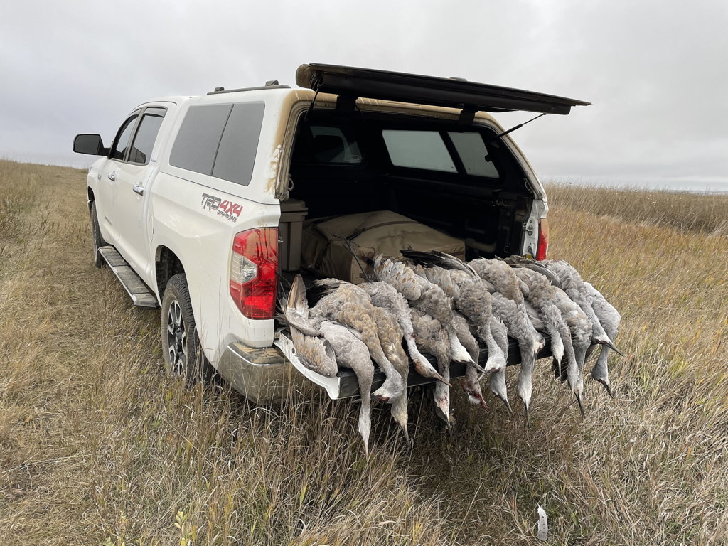 Tundra Sandhills.jpg