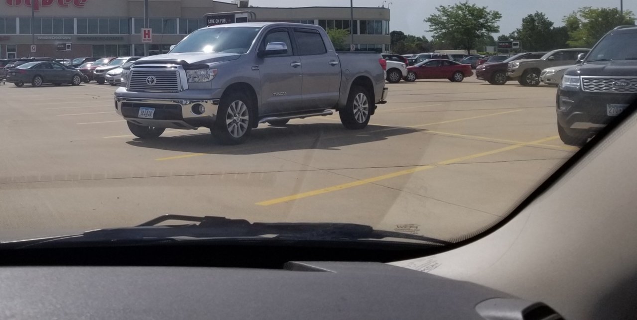 tundra spotted.jpg