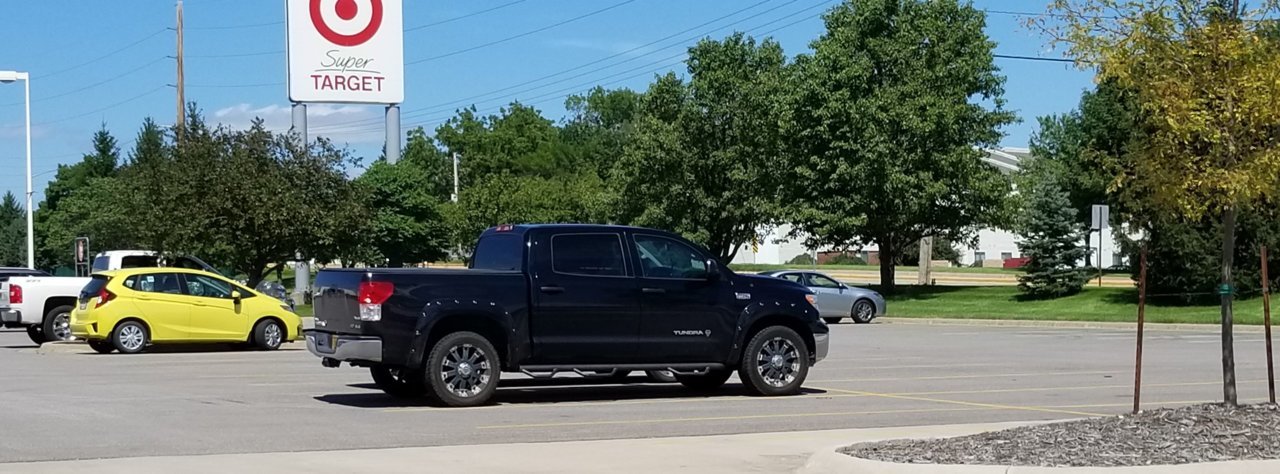 tundra spotted.jpg