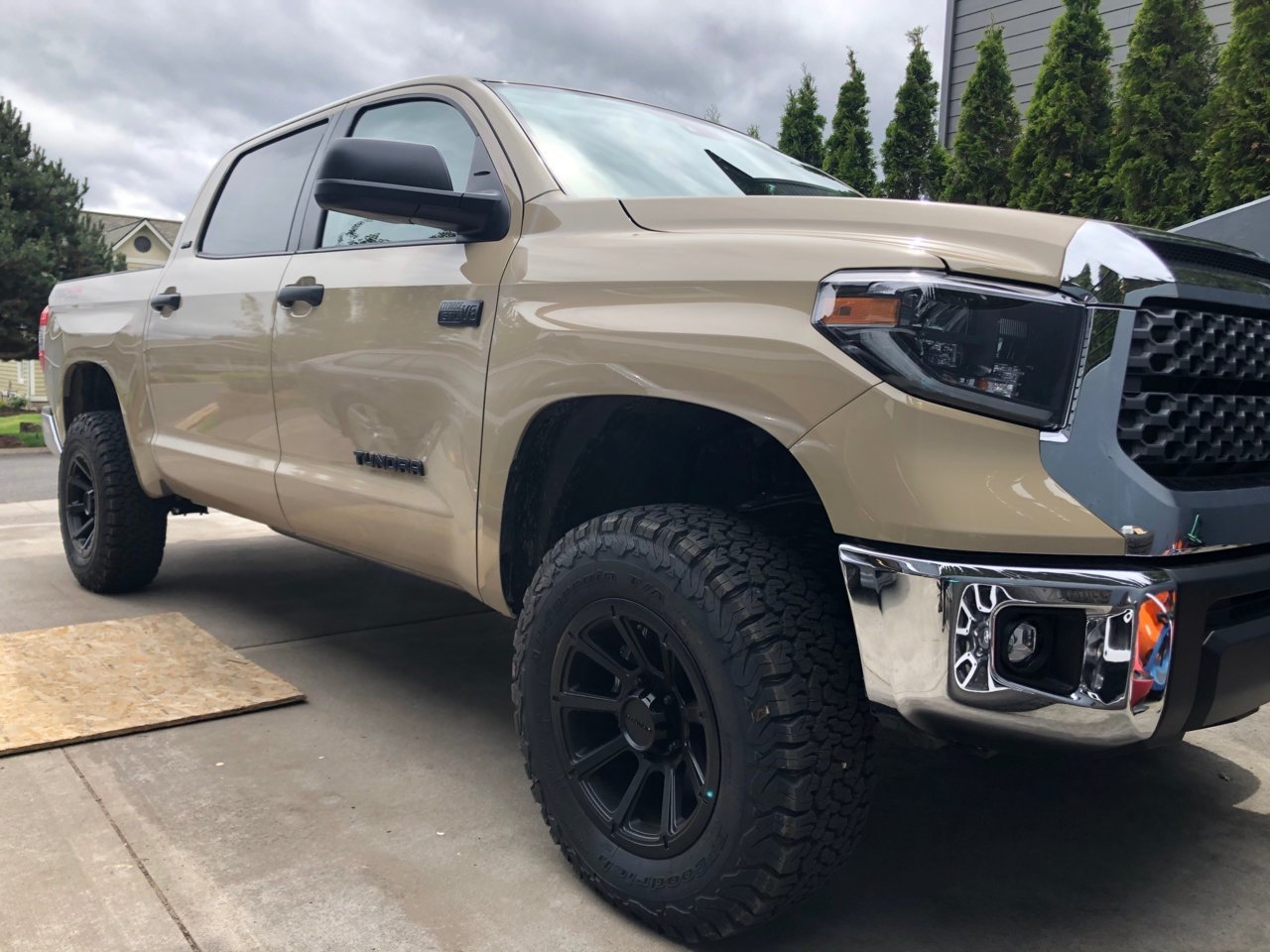 tundra - stage 1.jpg