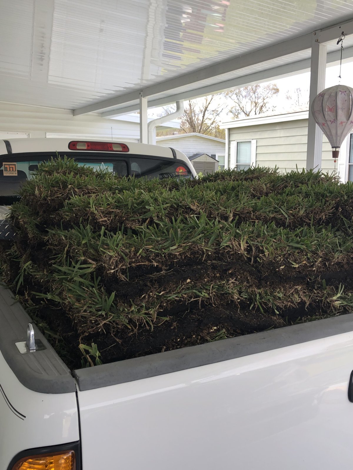 Tundra with sod.jpg