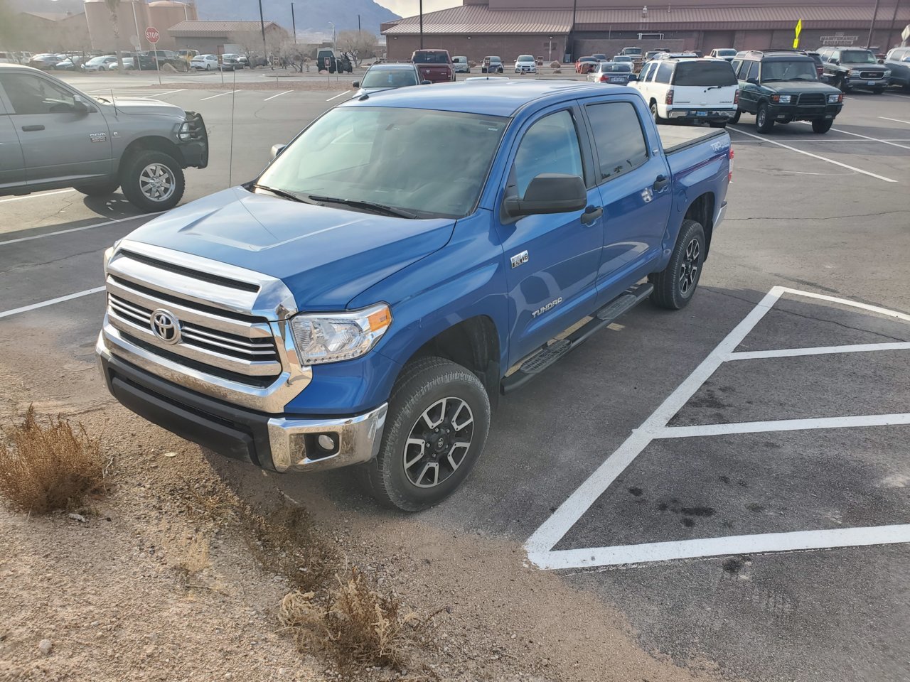 Tundra01.jpg