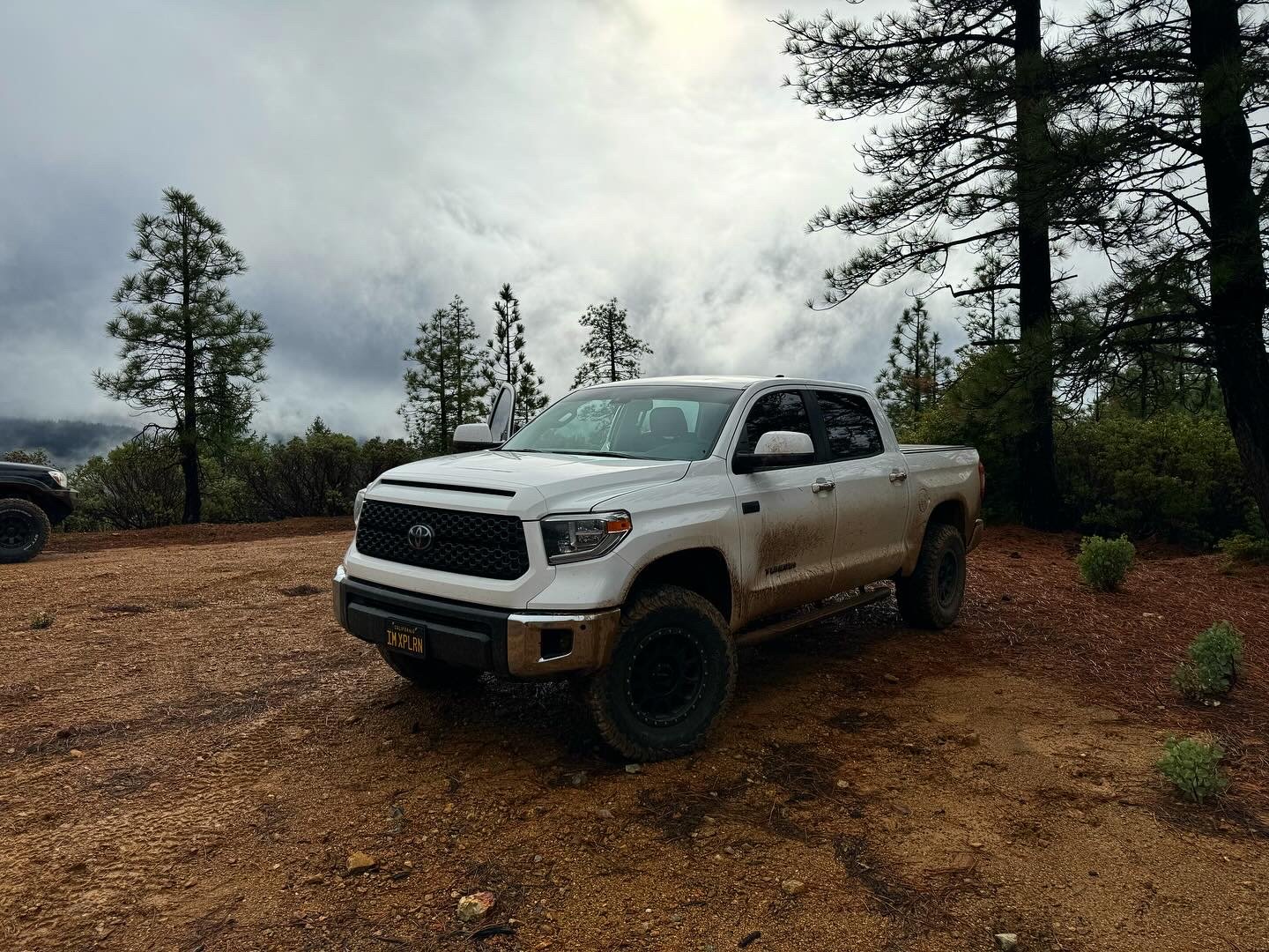 Tundra1.jpg