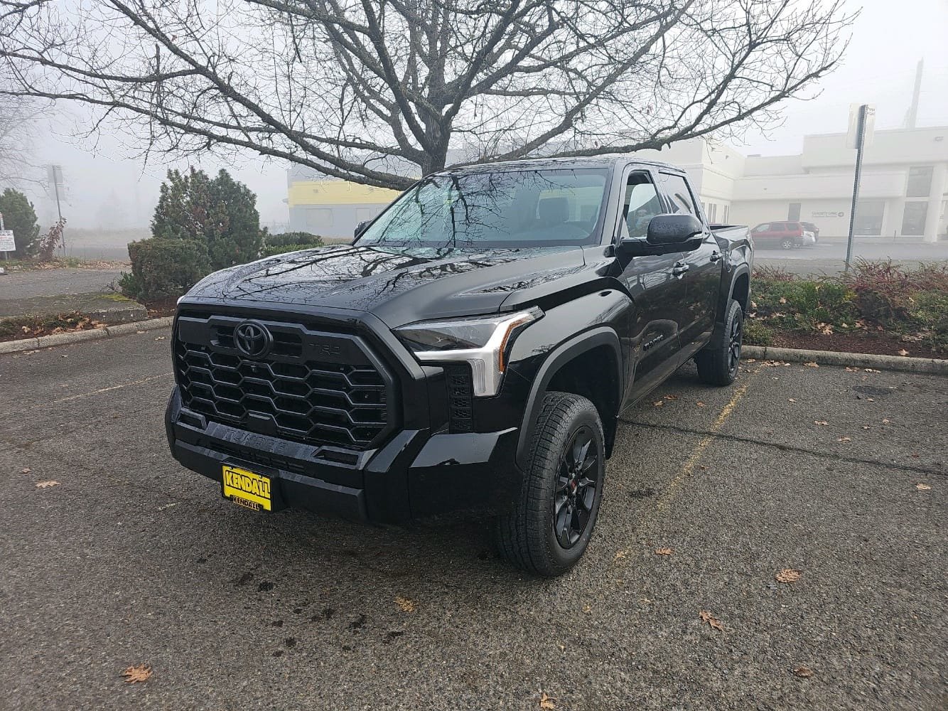 Tundra2.jpg