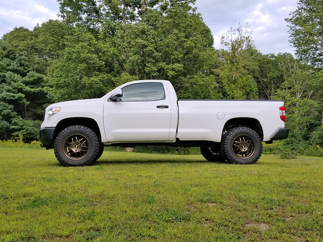 tundra2_e235478a59ab3d8e79be32c0ec39eb719a1643c9.jpg