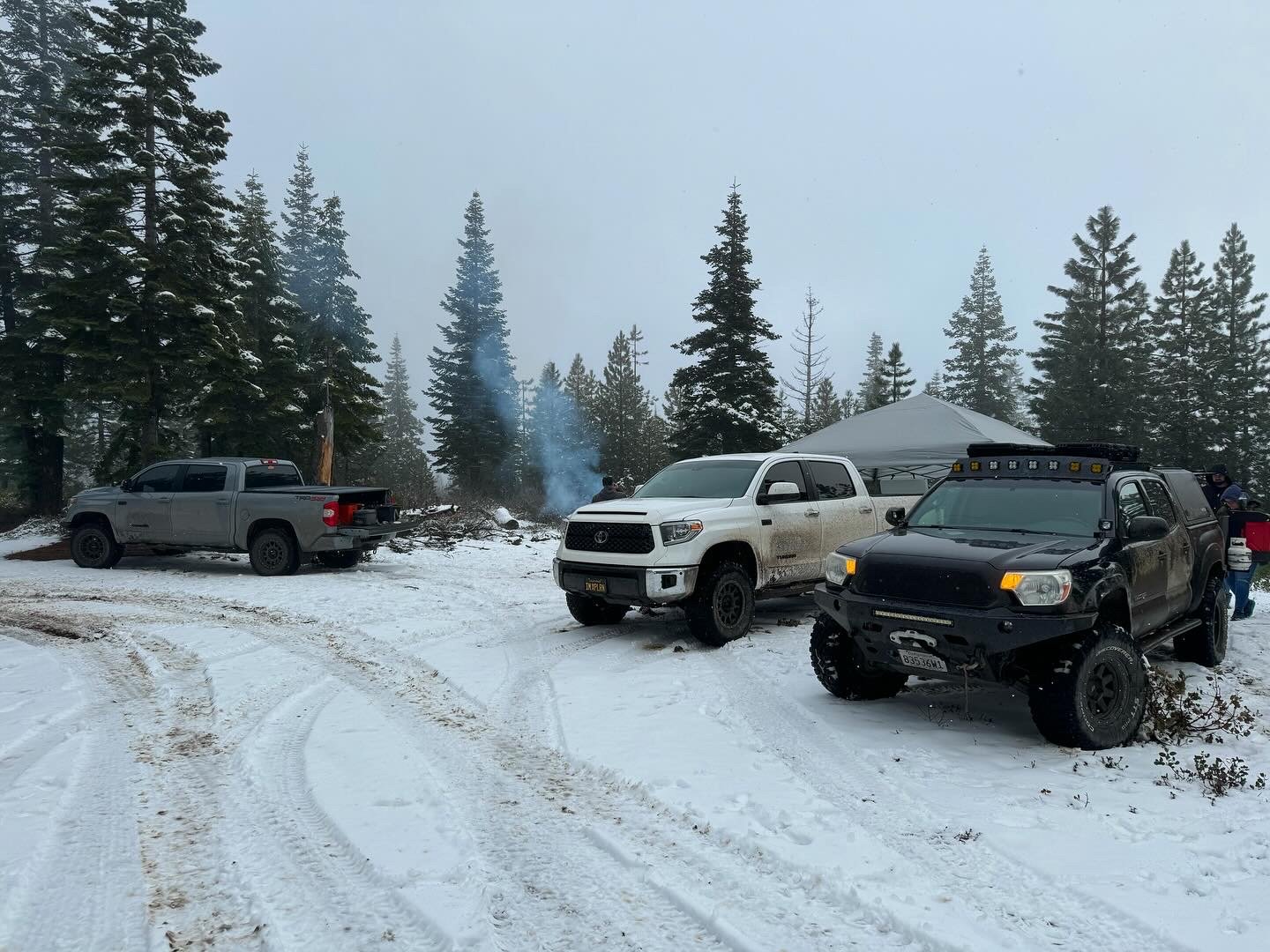 Tundra5.jpg