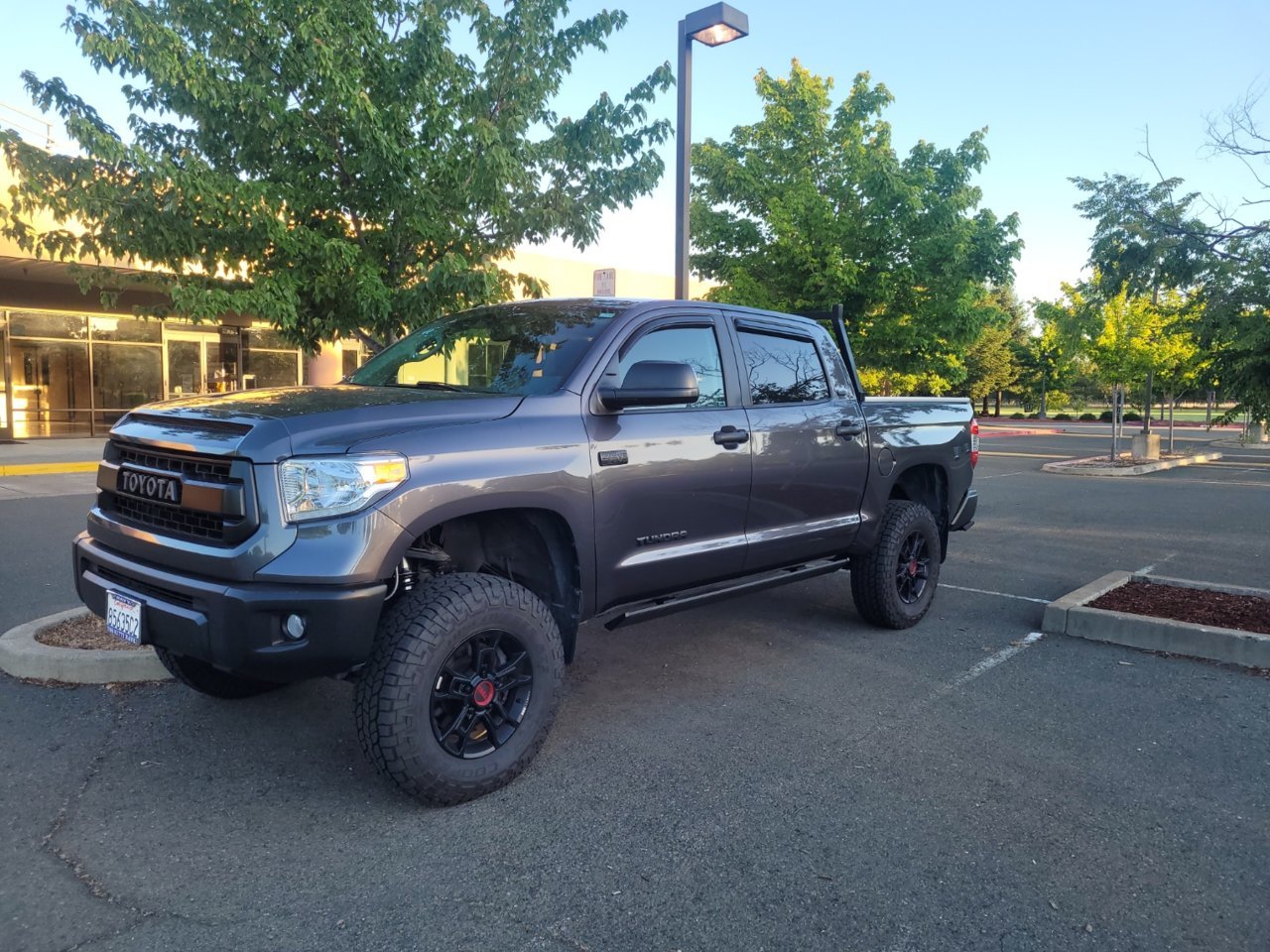 TUNDRA7.jpg
