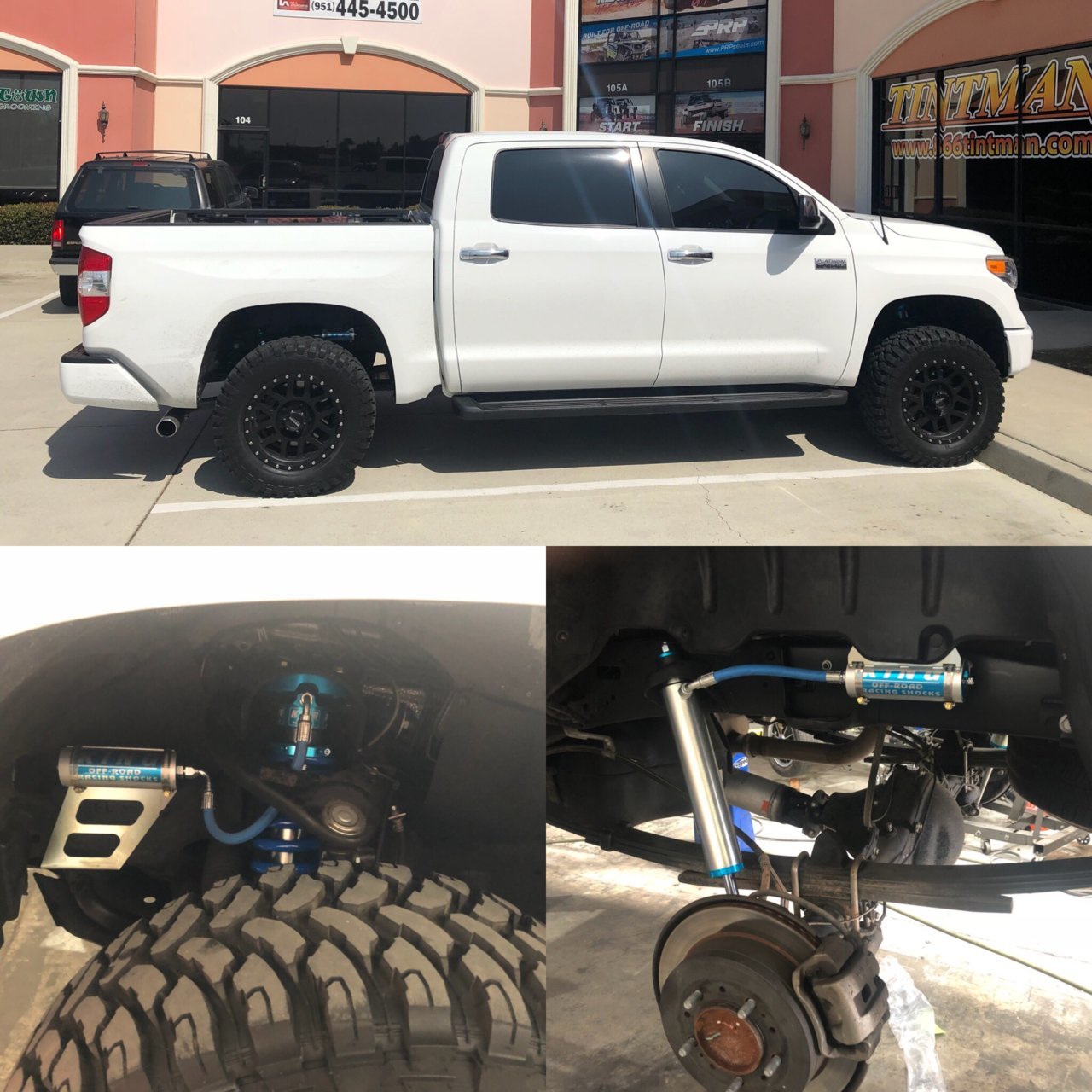 tundrab.jpg