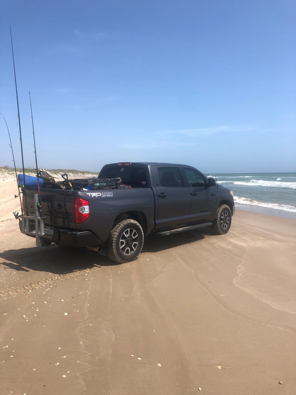 tundraPINS2.jpg