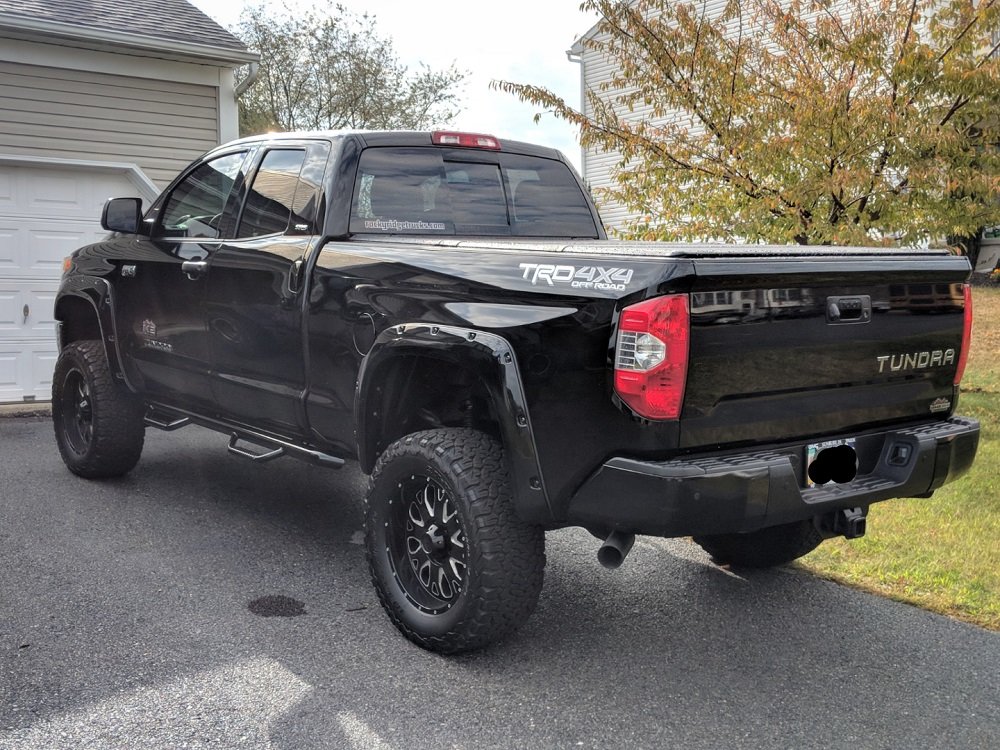 tundrarear1.jpg