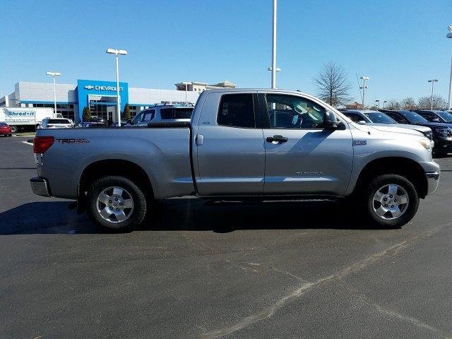 tundrasilver1.jpg