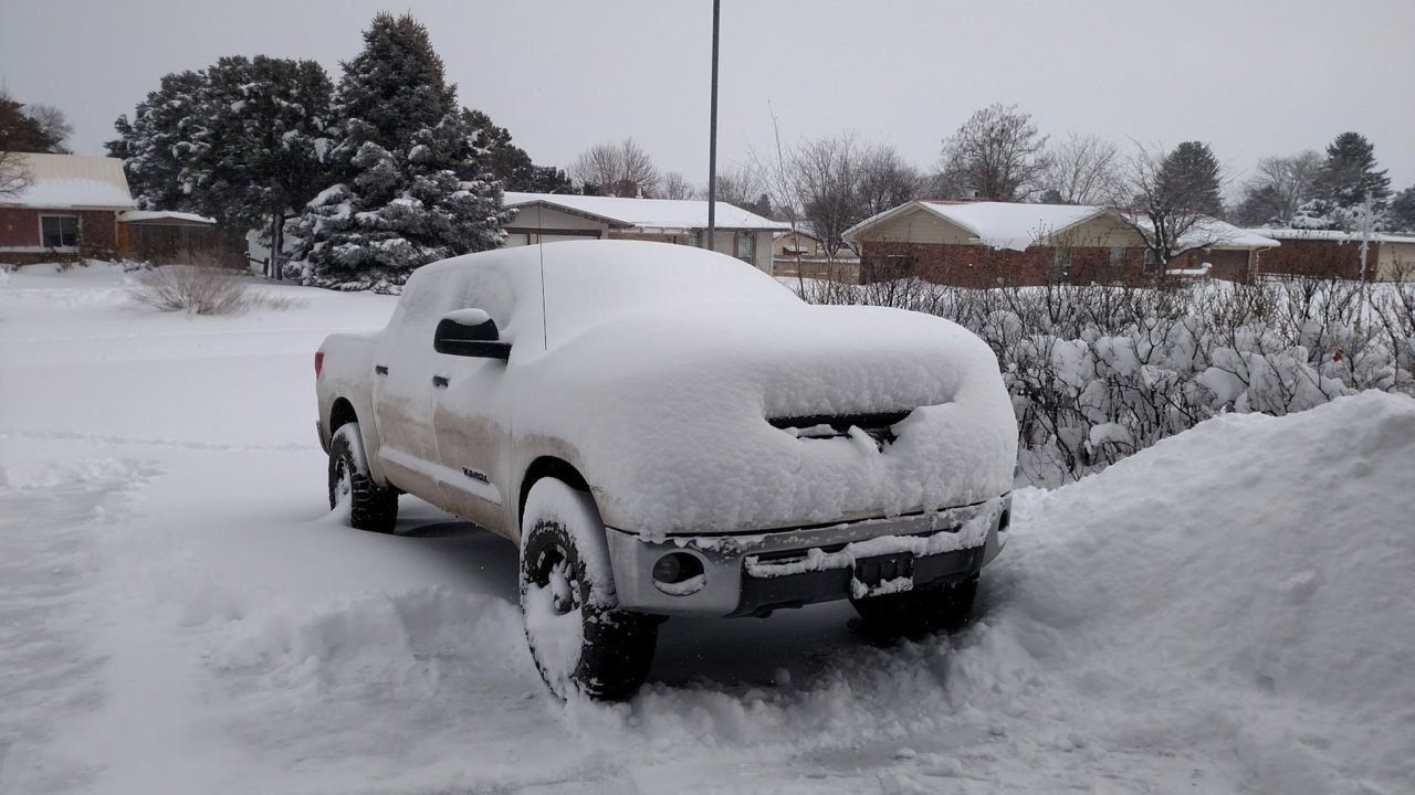 tundrasnow.jpg