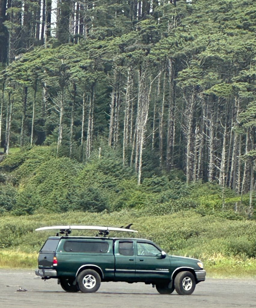 TundraSurf.jpg