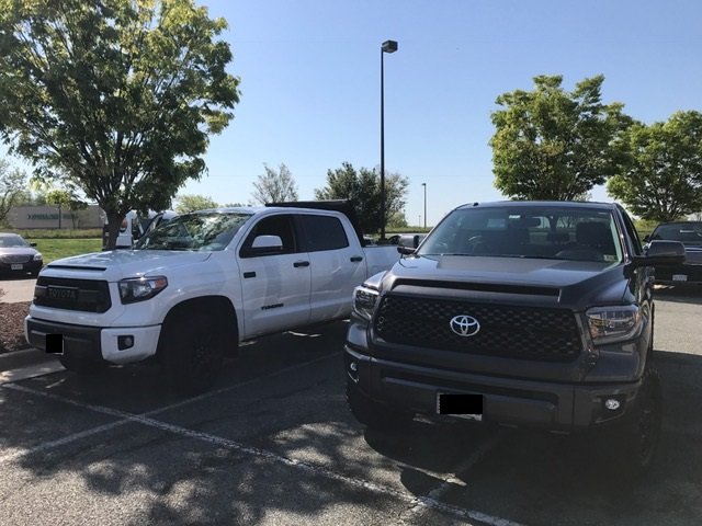 tundratrucks.jpg