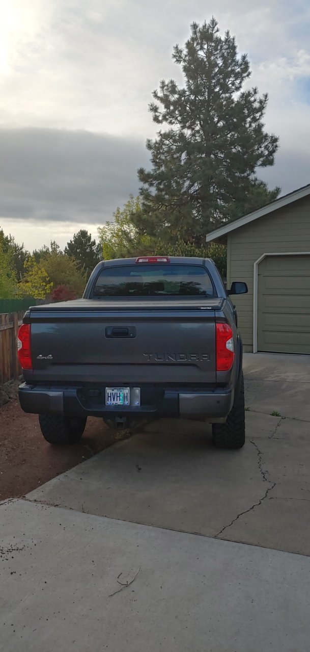 Tundy Rear.jpg