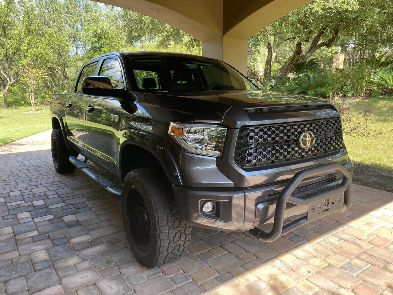 tyger roll bar.jpg